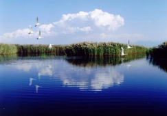 廣州到巴彥淖爾物流專線，廣州到巴彥淖爾運輸公司