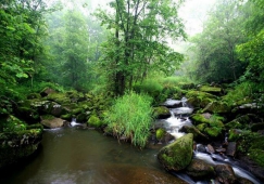 廣州到伊春物流專線，廣州至伊春貨運(yùn)公司