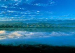 廣州到宜賓物流專線，專業(yè)運(yùn)輸公司廣州至宜賓貨運(yùn)