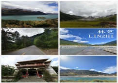 廣州到林芝物流專線，整車零擔配貨的廣州到林芝貨運