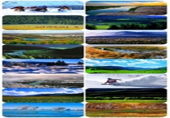 廣州到阿勒泰物流專線，廣州到新疆阿勒泰貨運(yùn)價(jià)格