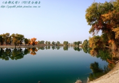 廣州到阿克蘇物流專線，廣州到新疆阿克蘇貨運(yùn)公司