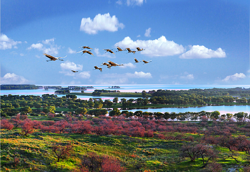 佛山到白城物流專(zhuān)線(xiàn)/佛山到白城貨運(yùn)公司(圖1) 1-200F5152203346.jpg